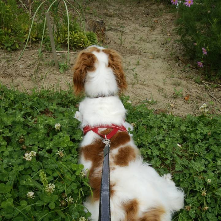 74ad6a8e 78cc 4206 837a f25f9c51b600 1530616909014