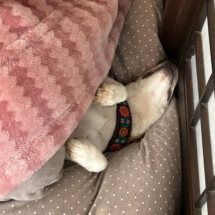 74ad711d 54cd 4bd4 aa05 107961c9663e 1680519952391