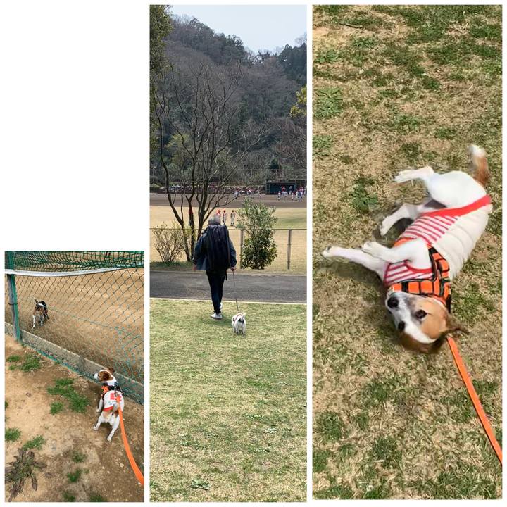 74ad7e95 72a7 4161 8240 5a072622daa7 1584849277366