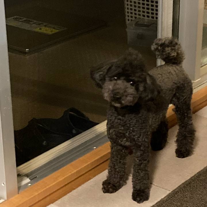 74ad8596 cab9 4c11 a603 5880d397756d 1626533523193