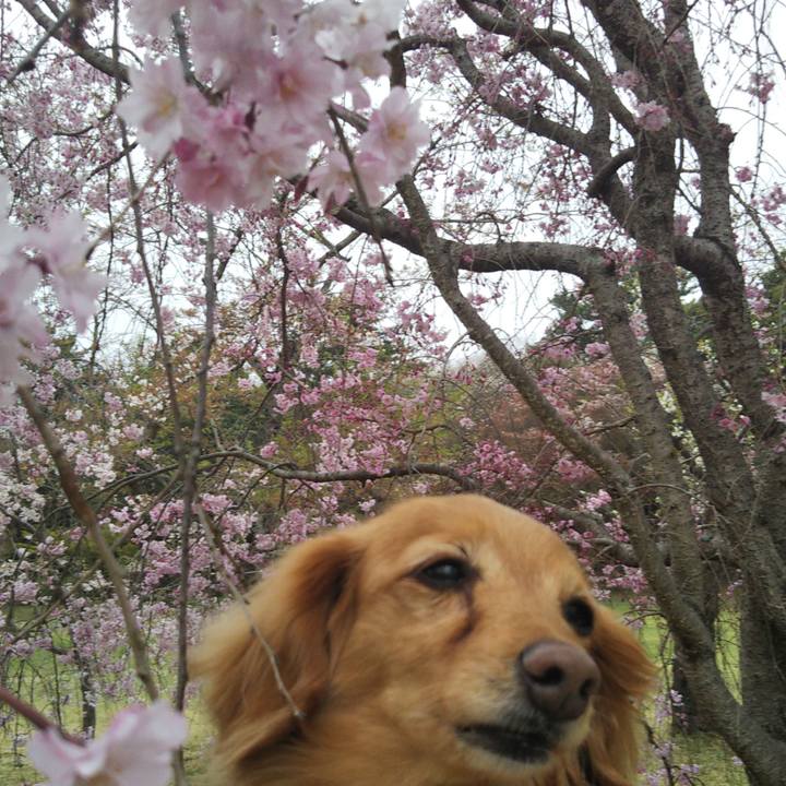 74ad9f00 a25e 4e4f ab92 5b8621eff685 1617097236843