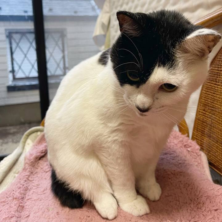 74ada2ff 9385 41be 82e8 9b137d2cbc26 1766530525335