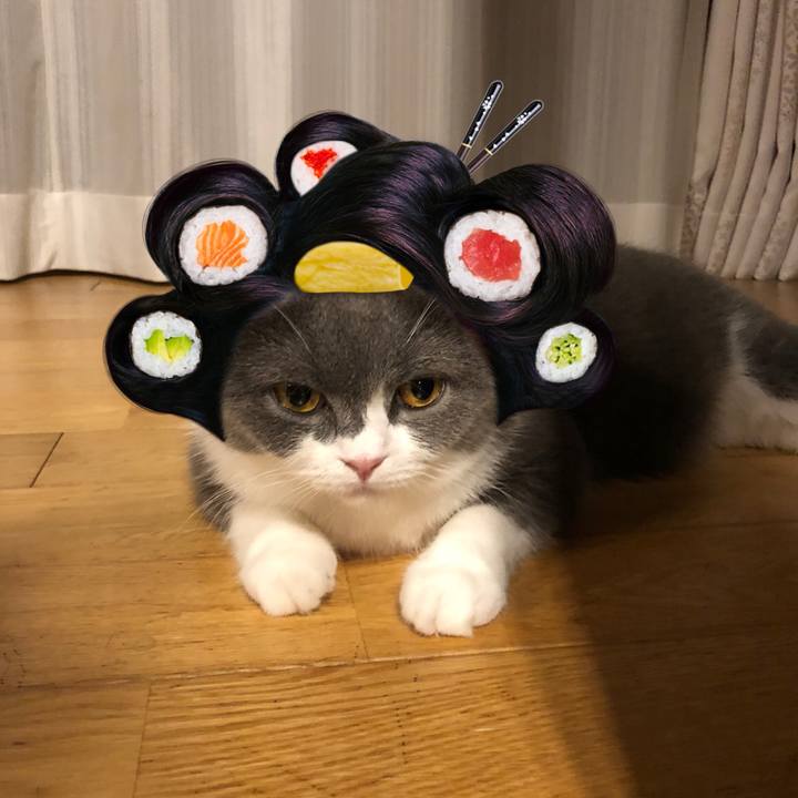 74ada509 9370 4ff6 97ac 627c91e6068e 1563456596188