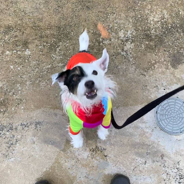 74adbf9c 10b8 4a76 9bfb 174311bdf9c8 1665105384008