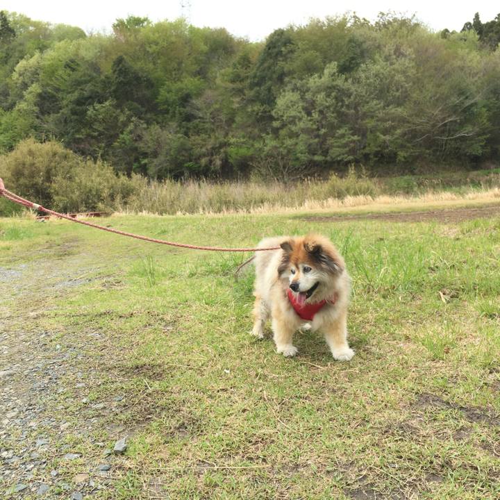 74adc771 0edc 4aa0 9ed4 d42ac0338352 1566610415315