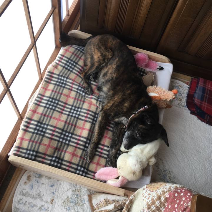 74adcc19 02ad 45ec aa7f 85d2ab32ee84 1552998866175