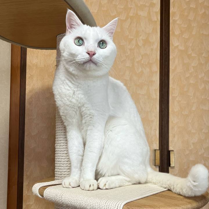 74adfcbc 6543 4591 b760 902ae2408c86 1730291291817