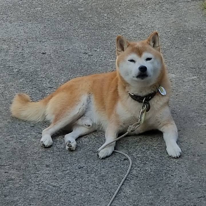 74ae2531 5ef9 4b6b 8397 00536fa3f31a 1663283598872