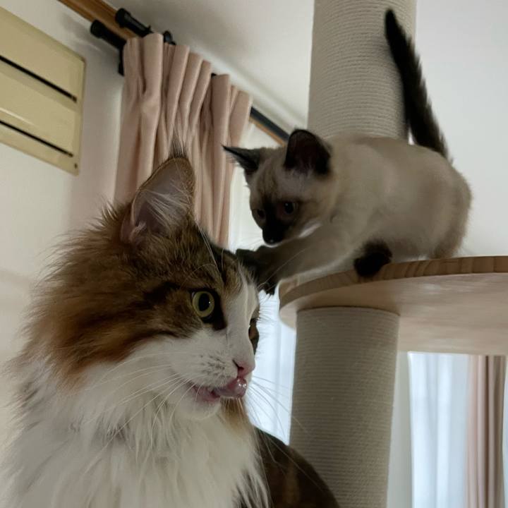 74ae2ddb 608c 4f86 900e 8fb3d8d2fa8e 1688983361656