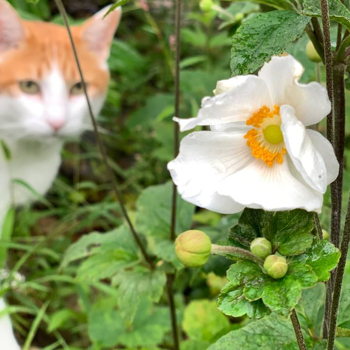 74ae46b6 b574 4bd9 b116 6510ee374e33 1568626773543