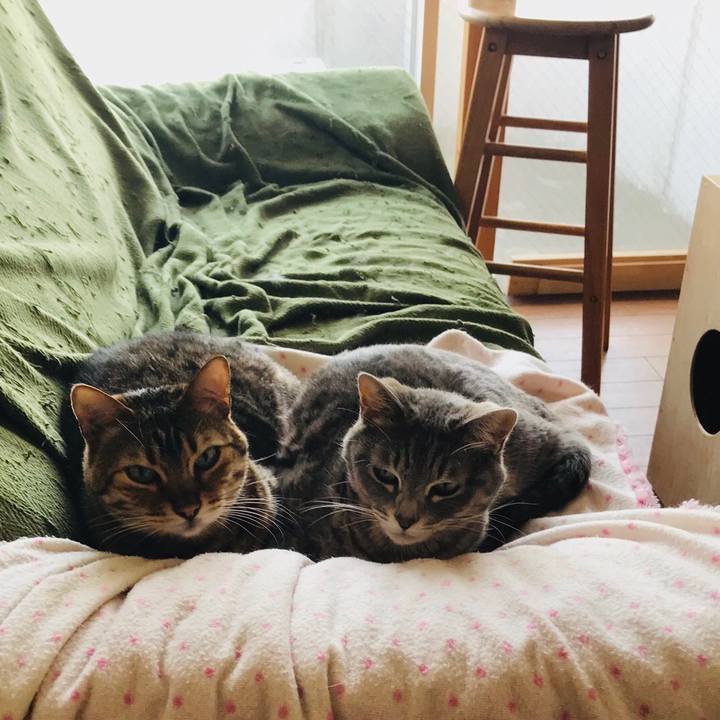 74ae5685 27c7 46fc 8796 38b380a76081 1553221606248