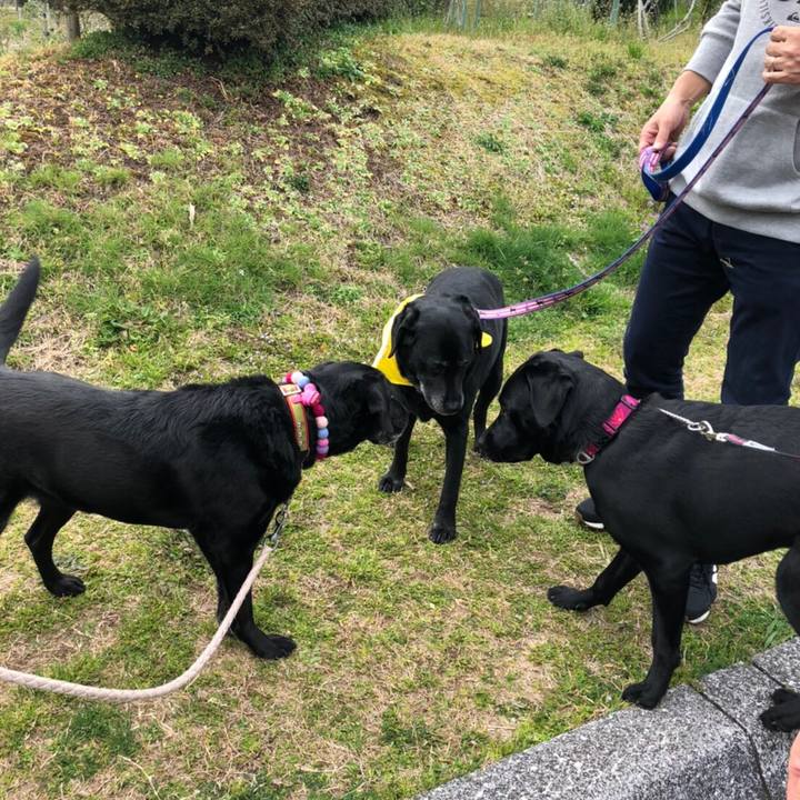 74ae61dd 2bf1 4207 a56b c9aeda5a259f 1584915332049