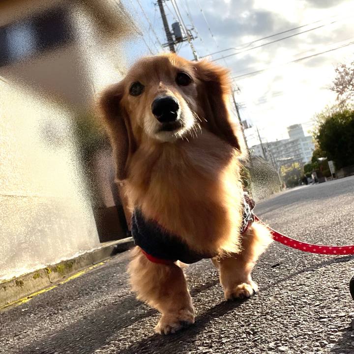 74ae66d1 6c3d 4e64 99ba 5f89d2e4cce5 1680010596299