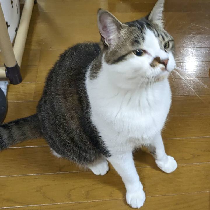 74ae6c1b 9d95 4cdc 9a1b cef1dd50c5c2 1682780967237