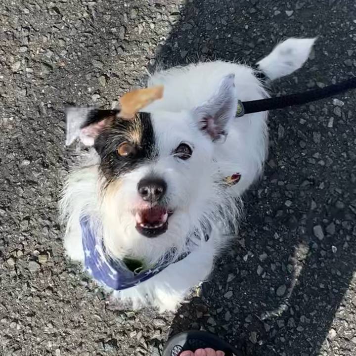 74ae770e 014a 4d4e 99db 451644902aba 1659396173374