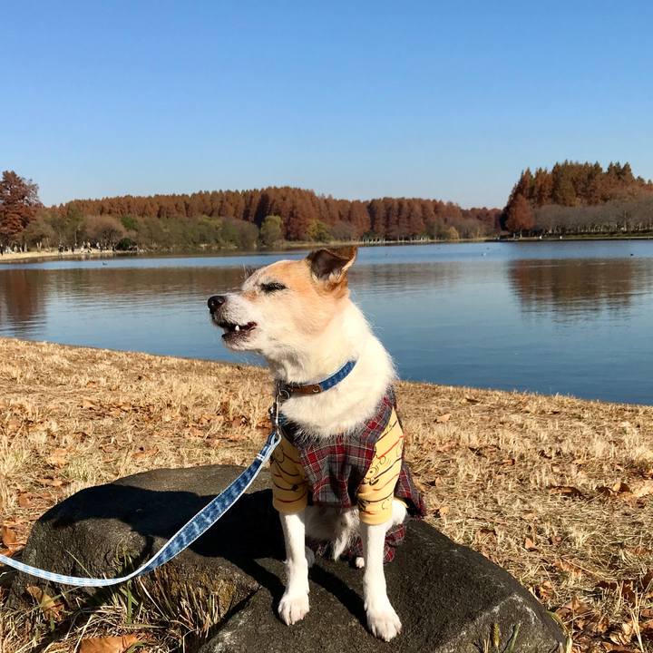 74aea372 f956 4a37 831d 77b20154f64f 1638606978084