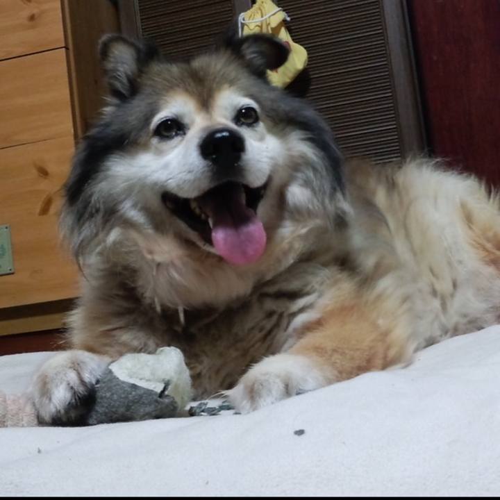 74aedd86 4b39 4c1e a62f ca12f3b7740e 1649868726872