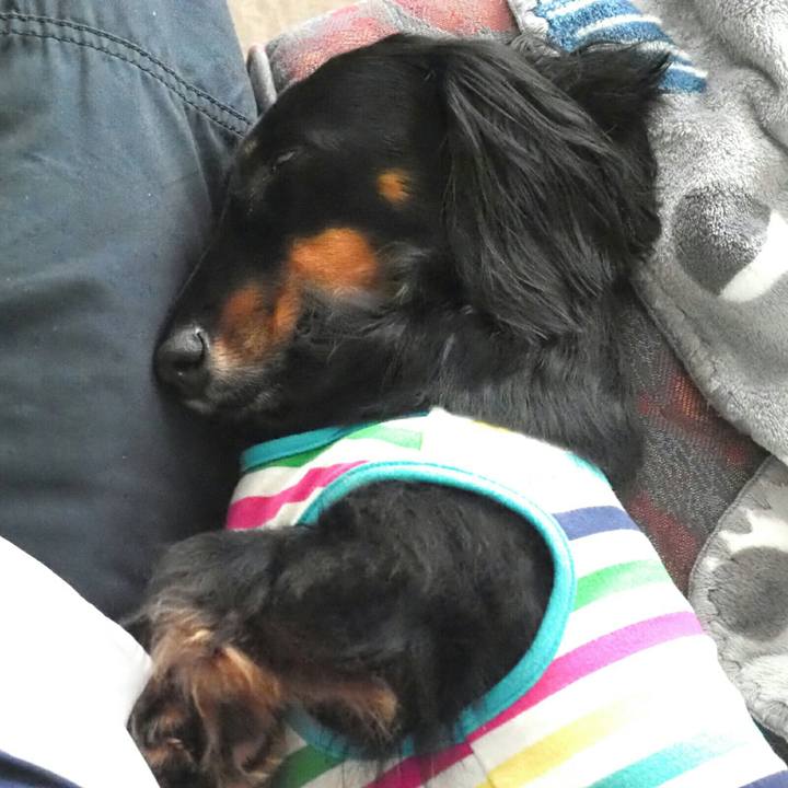 74aedf29 1370 4ae8 8379 f1bd1ba2735b 1592118915302