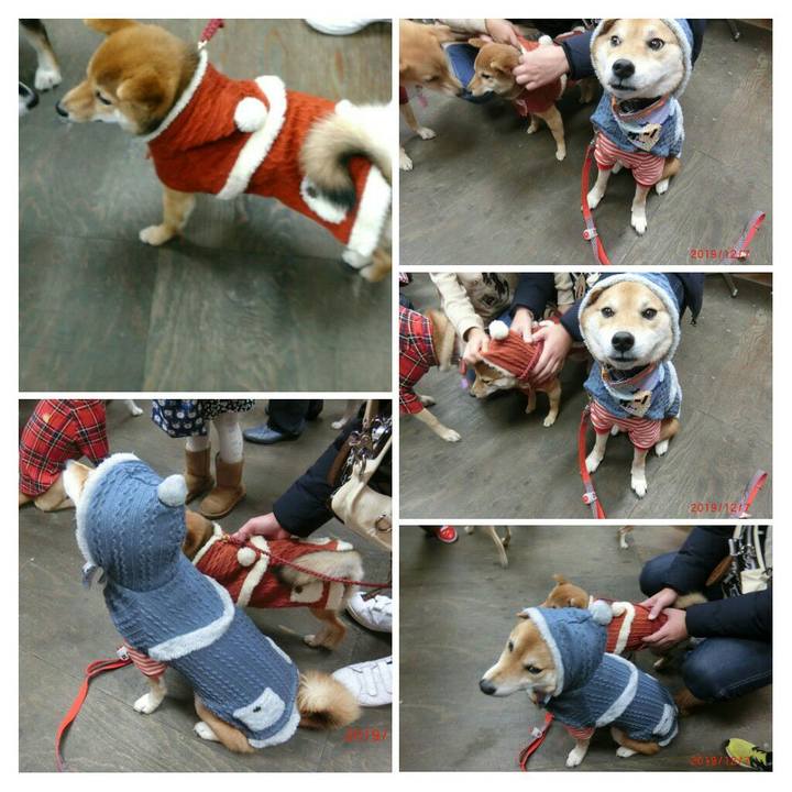 74aee900 241d 4078 baca 0f7a61b851a2 1575776669323