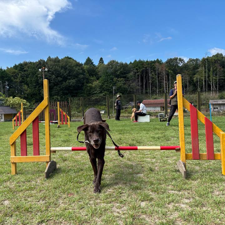 74af00c9 75f3 4513 a004 726f2c22ca5a 1758976781356