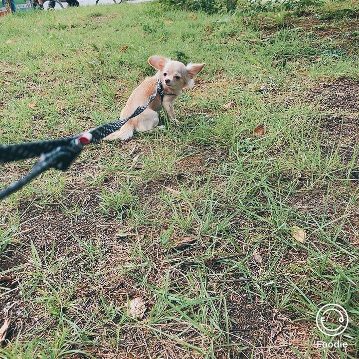 74af2250 d4e1 4d00 a8ca 36a9d4c0af23 1600691889333