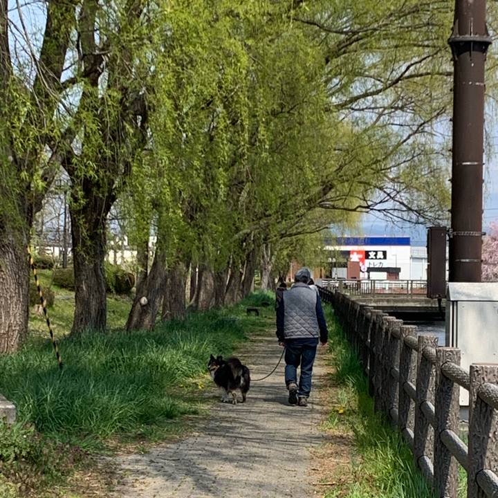 74af9921 9c87 4a97 8b59 827fb680d8f7 1587854114466