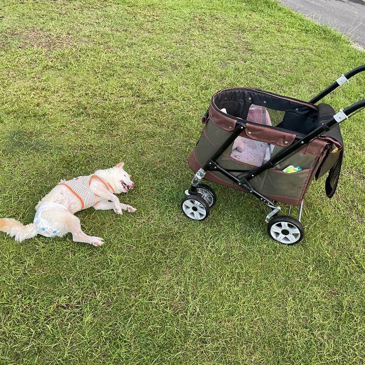 74afb038 251c 467c 978f c51f160d885d 1664970160344