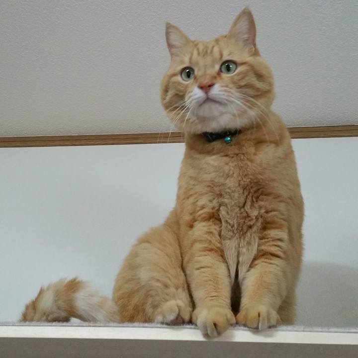 74afbe73 62c4 4de3 942f 619c0f71ece5 1551224281474