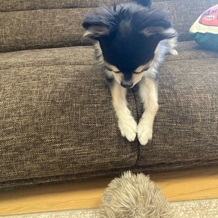 74b00f35 47aa 4324 91ea 9683f2b20873 1691936829729