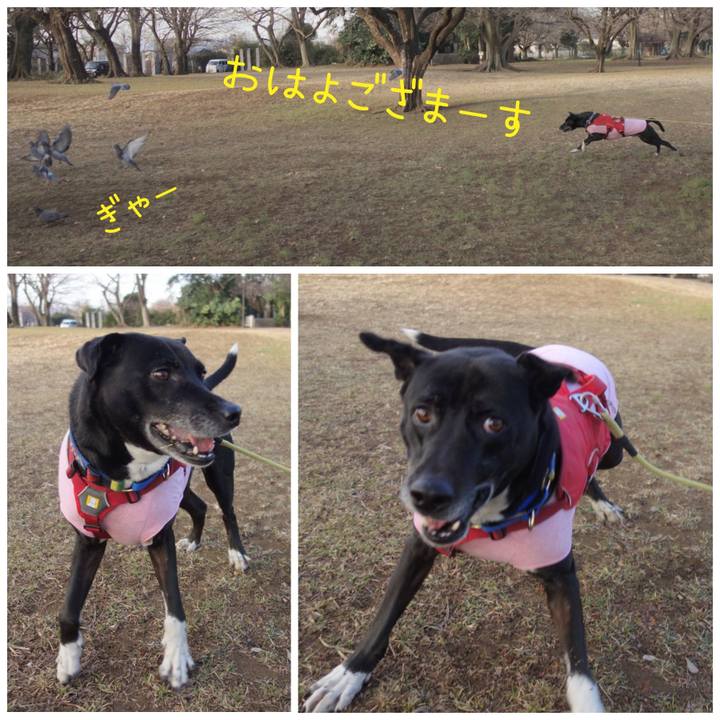 74b00fb6 0507 4978 a2a1 189a2c75a9fc 1675299690861