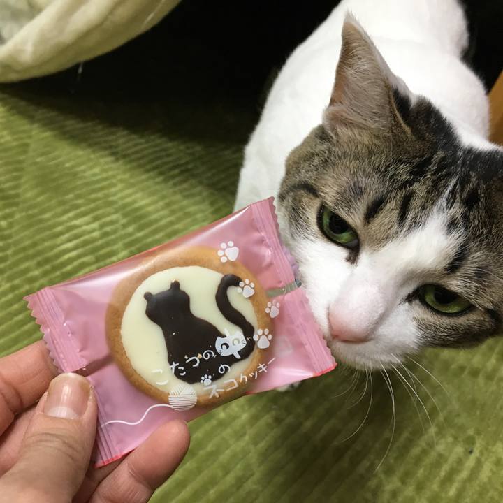 74b02123 698f 41f5 8b2e 529f527abacf 1548167350051