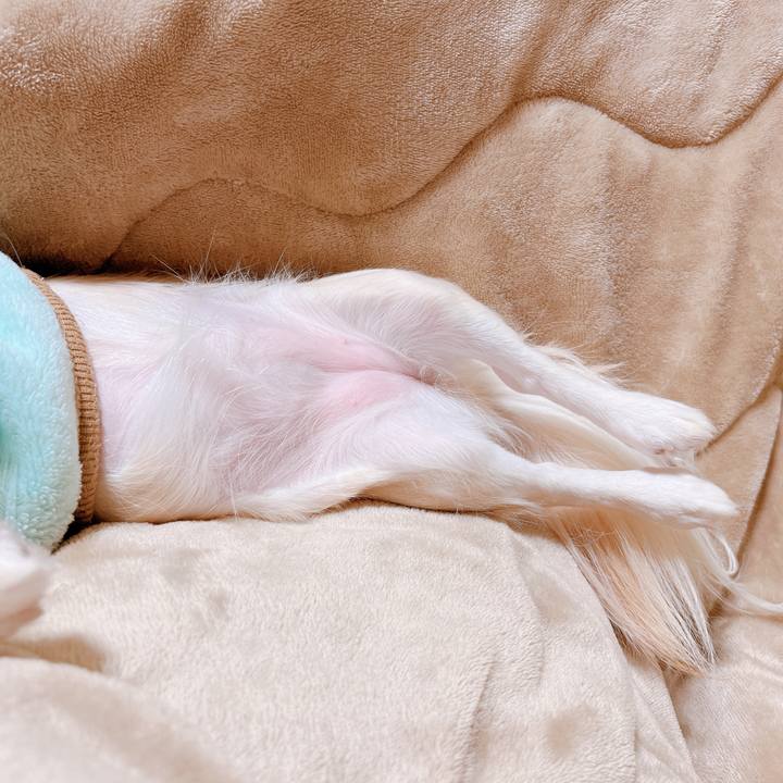 74b04b18 6e0c 4abc ae02 49580fe95ac2 1669622957476