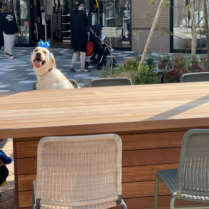 74b0584f fded 49c9 b7f8 0e5c2bd4267d 1651053400510