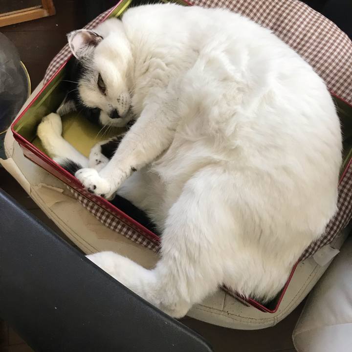 74b07575 5625 4844 9f3c 299d2b34c508 1565330042107