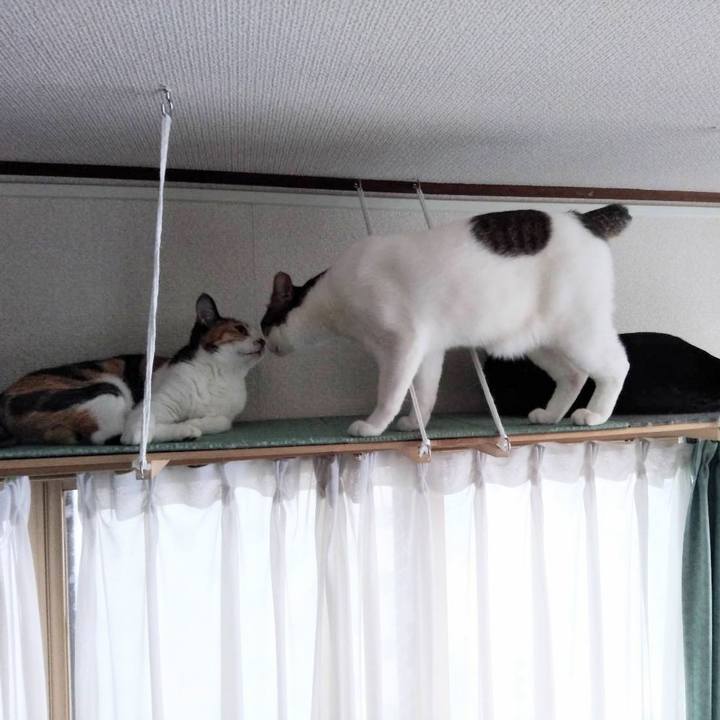 74b078dc daa3 45f5 b3b2 78a245728885 1670502438253