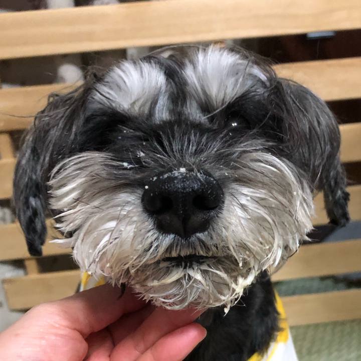 74b08aa4 d35d 47c6 88ed 60780a40c535 1704549507798