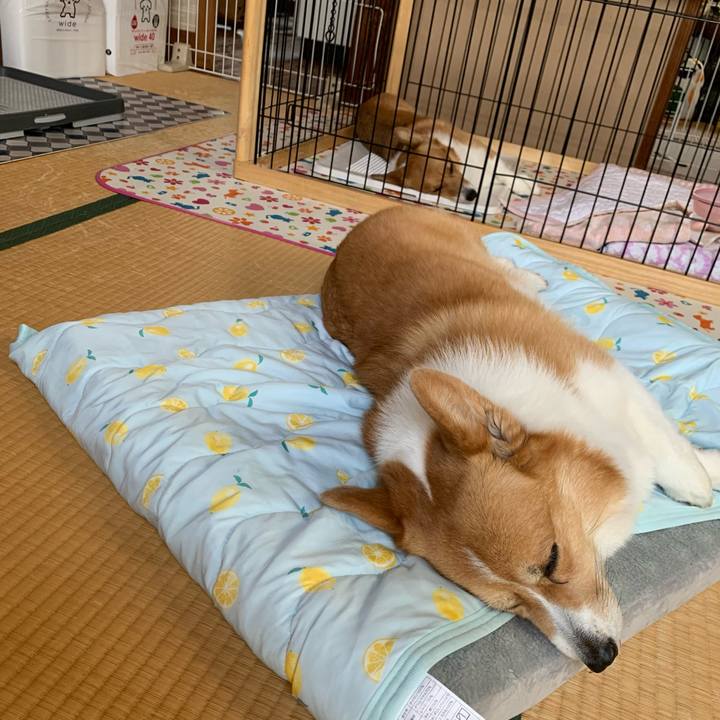 74b0c3b7 c906 47cc 90ad db127a7e211d 1622509943055