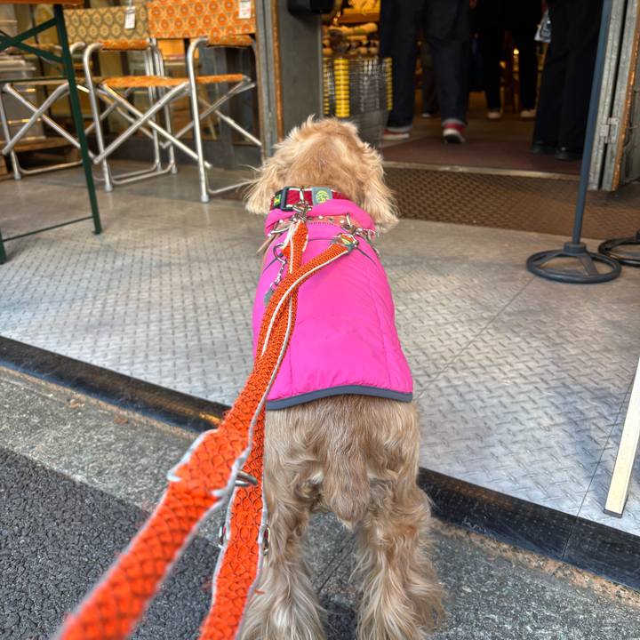 74b0ce0e fc01 4952 92a7 d041a75ff0d0 1768230632275