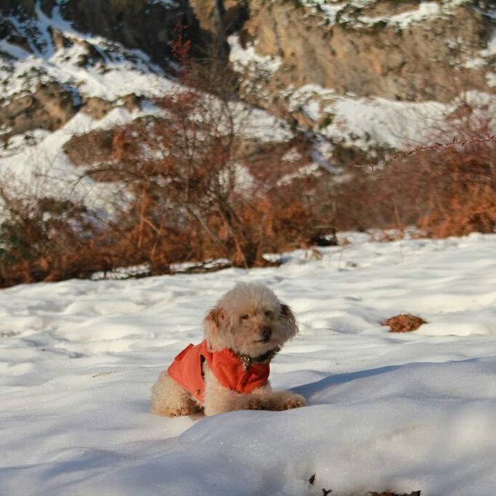 74b11123 4a85 4e68 8a66 5ad1003c8760 1578923658652