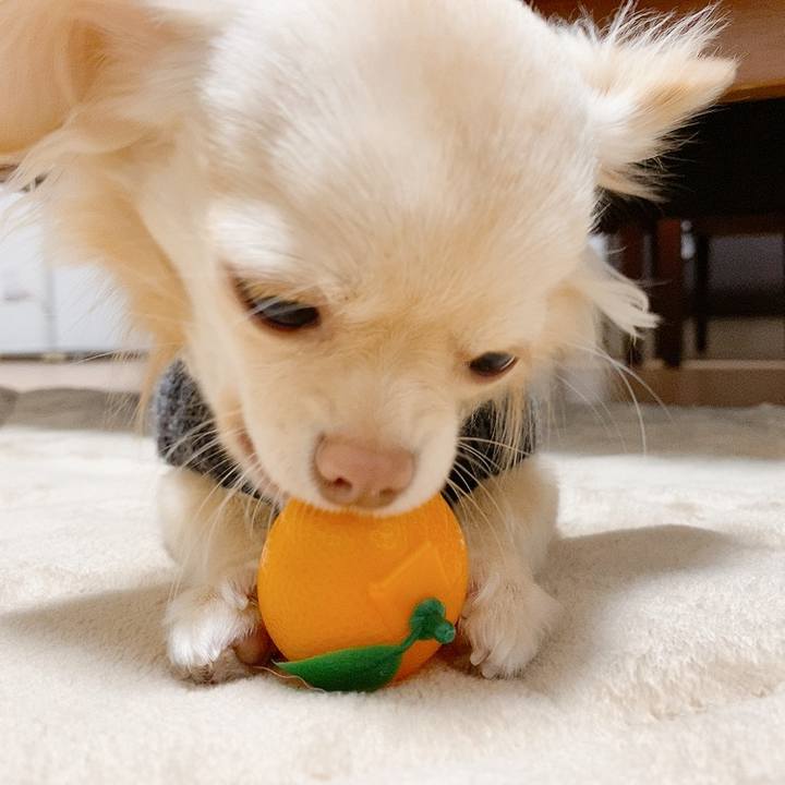 74b123ab d0c4 4709 bce0 d44cfb55d9ff 1610722102526