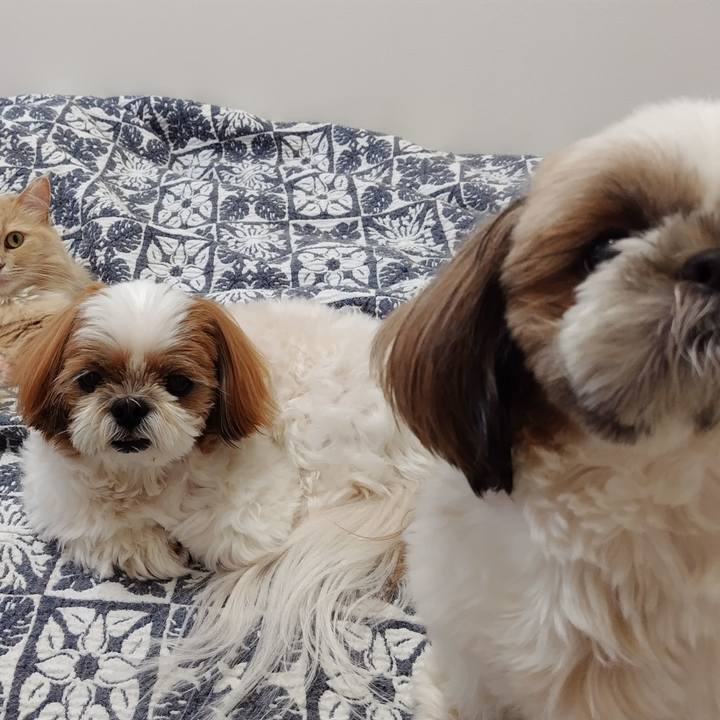 74b18dba f551 4201 b4fe a6205b772554 1745554388945