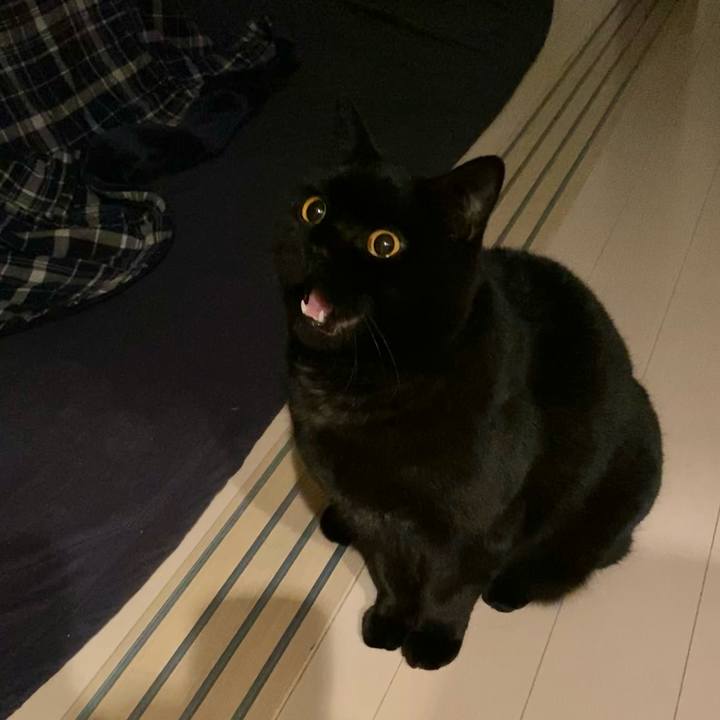 74b19659 728d 4c62 96de dd5ad159a8c5 1676808702746