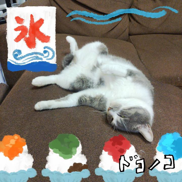 74b1b3a8 1cc9 4eea a3e7 1253b4df3598 1723284330356