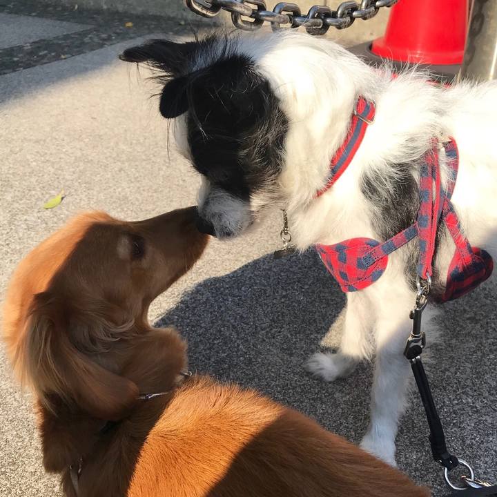 74b1ee59 f0a9 44e3 9f4f 266ef8dc963c 1551525861294