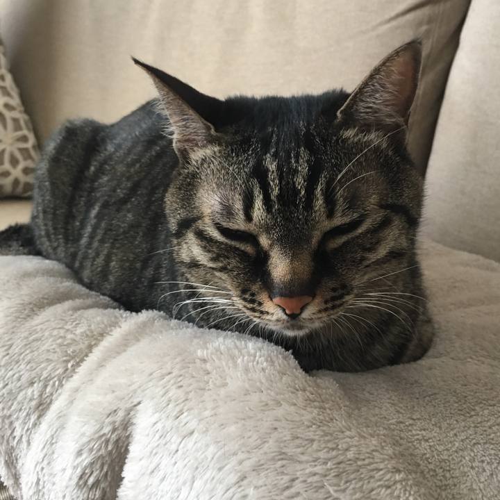 74b20aa9 7c89 4fc9 b500 ffa129592554 1554544926554