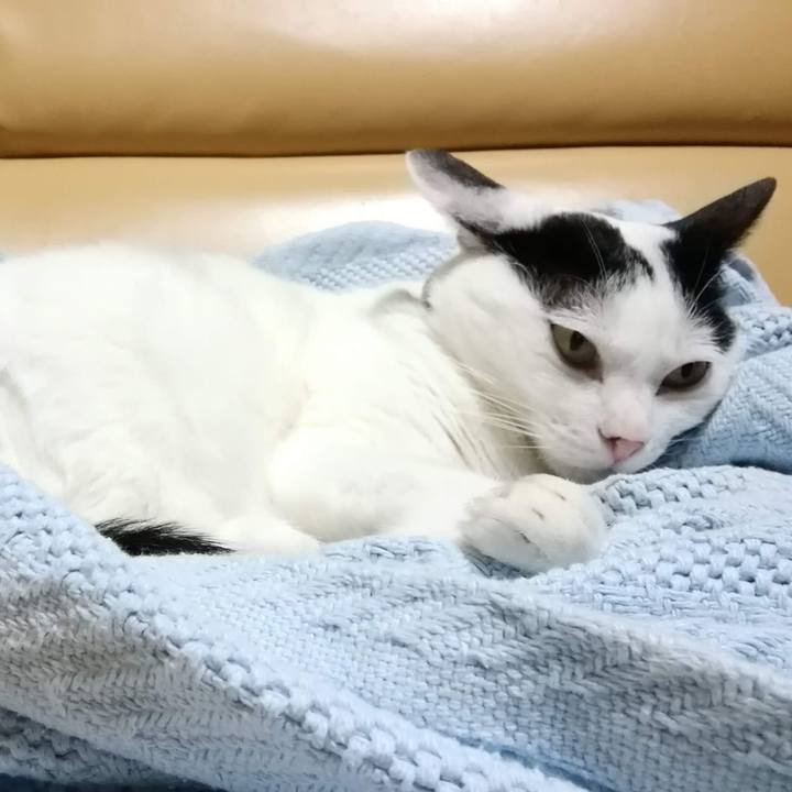 74b262ab fe5d 485a 83ec da19f8882e95 1528547475430