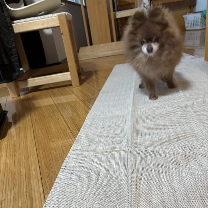 74b28272 d00f 4647 8c97 be44eda9d4c0 1769632920257