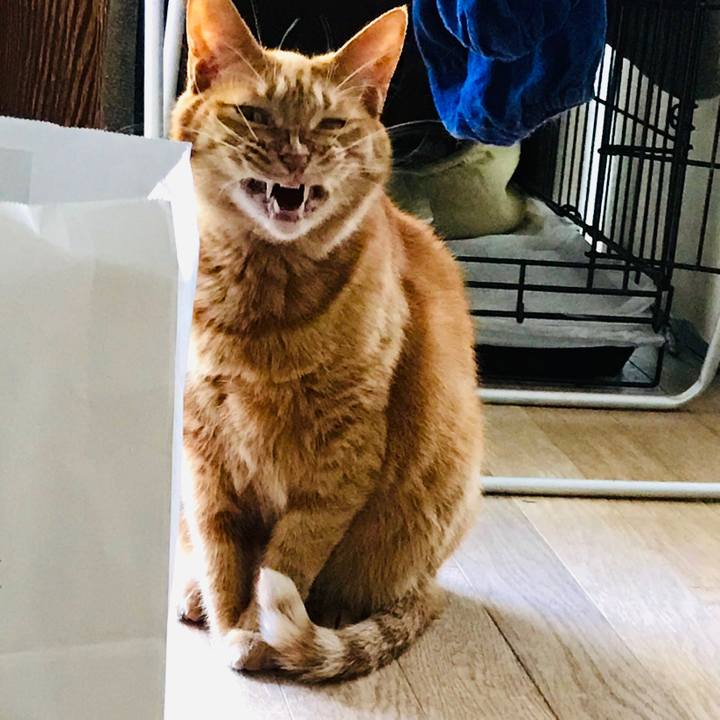 74b28360 e92b 40c8 acd1 af5f433dfd57 1586155563663