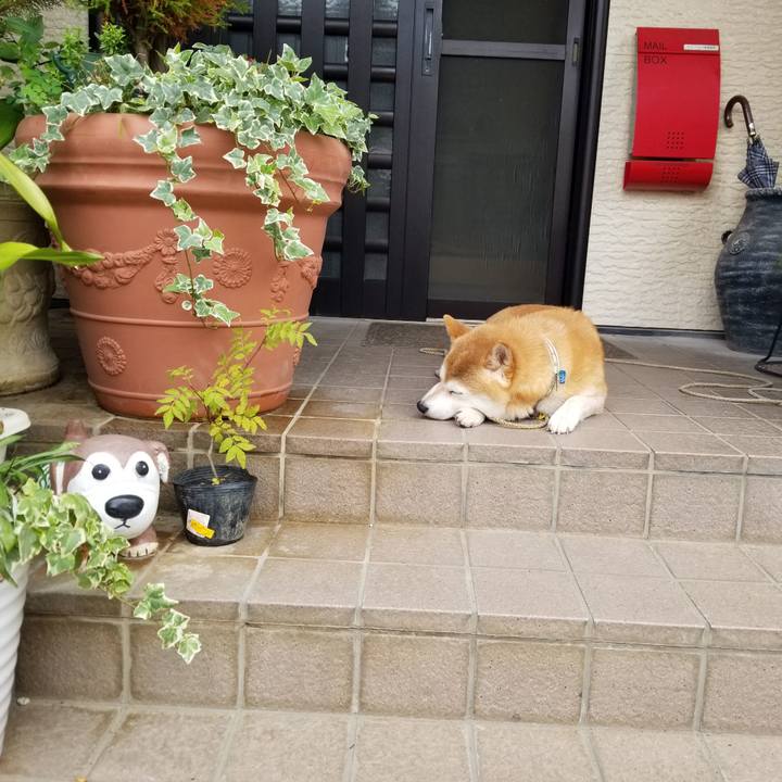 74b2b6d8 908d 4e01 a899 f6557473bc9e 1629507193044