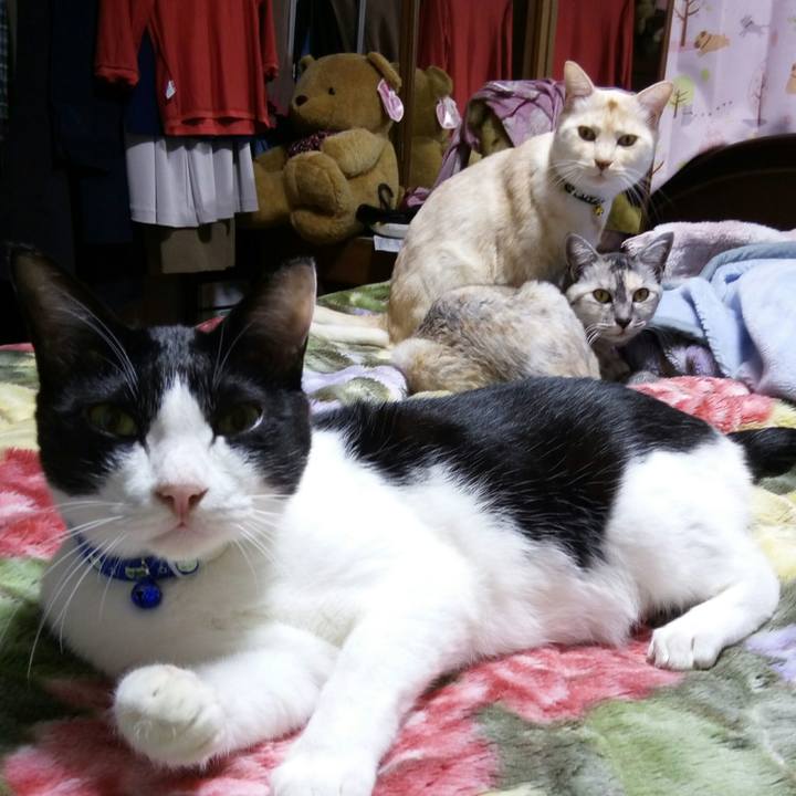 74b2be61 7047 42c8 aa85 b1495188edcd 1509792646113